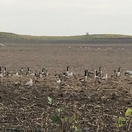 Ferienhaeuser Ingrid Peters